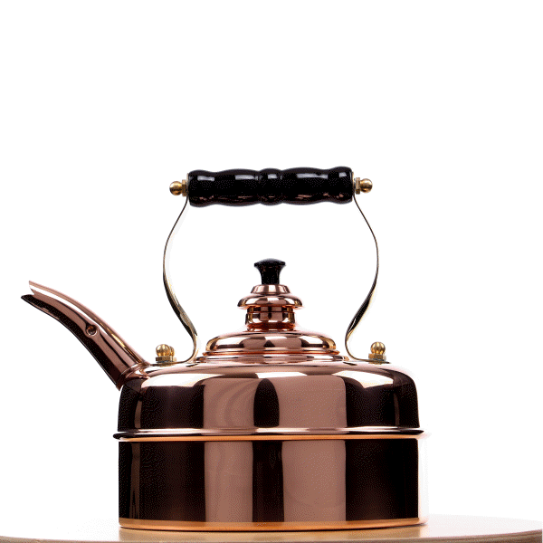 Codex Kettle Kettles for Gas Stoves - Newey & Bloomer